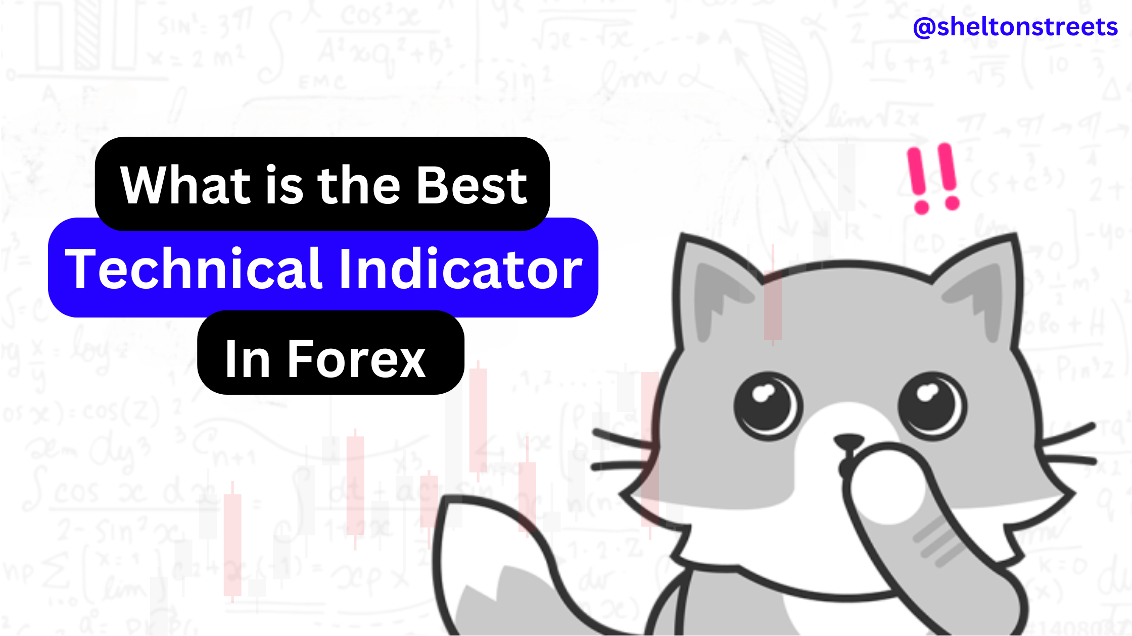 Top Indicators Every Forex Trader Should Know